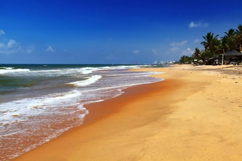 Sai Sea City Hotel Colombo 3*,